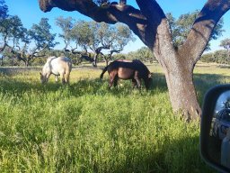 2025-02-23  THE GAME - TWO FIVE